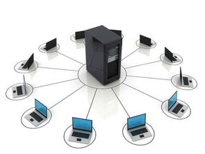 计算机网络的分类概览